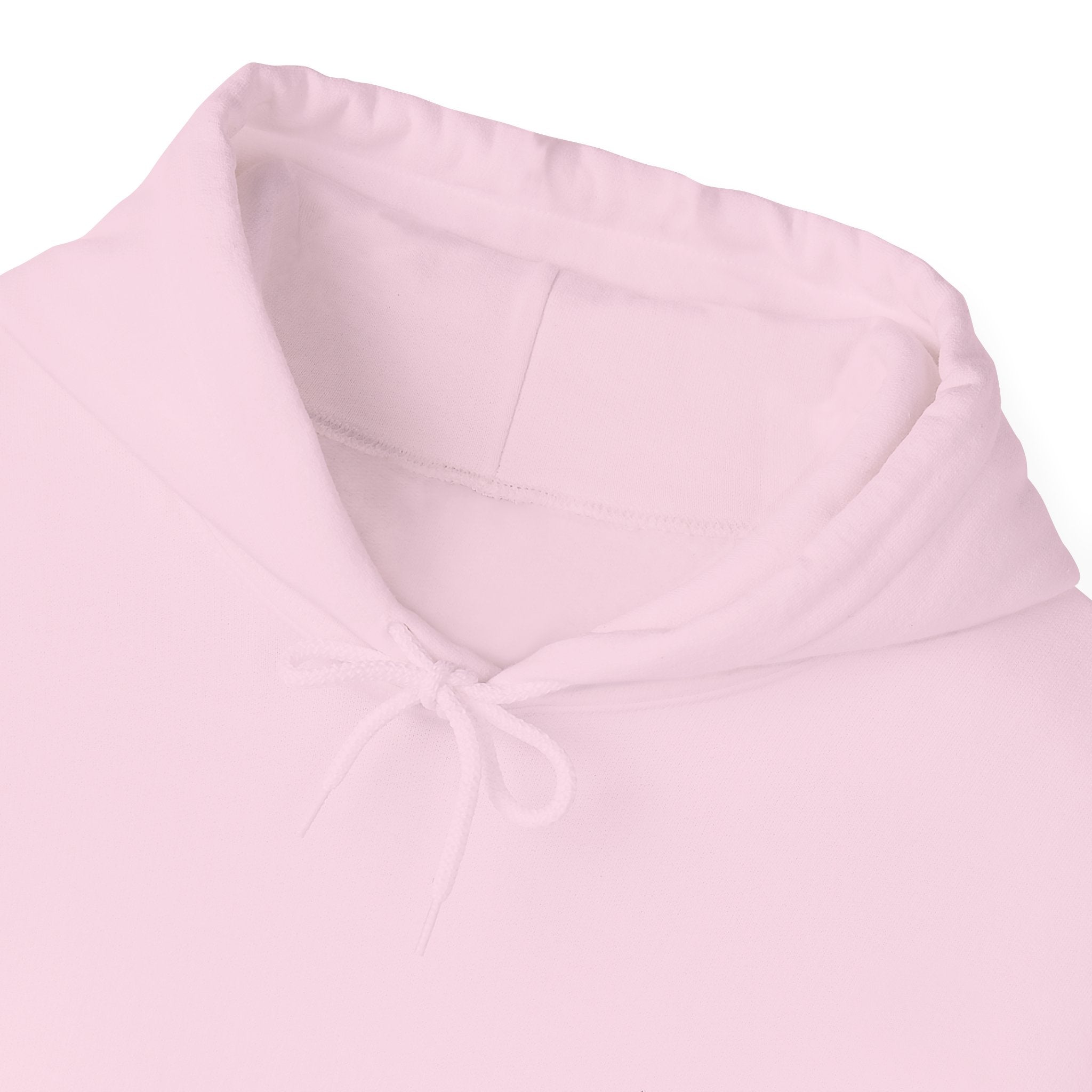 Her Holy Light Pink Hoodie – “Blessed Is She Who Believes in the Lord” Christian Apparel
